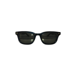 YL99227P Sunglasses